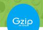 Win2003aspվgzip