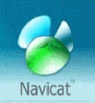 Navicat MySqlͼιVer10.0.11